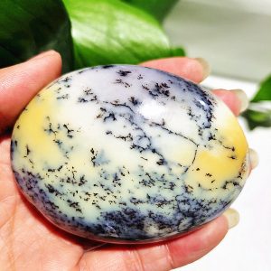 Arbres en pierre opale dendritique naturelle plante d eau cristal palmier cristaux de gu rison spirituel 3